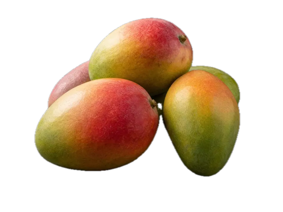 Mango Kent