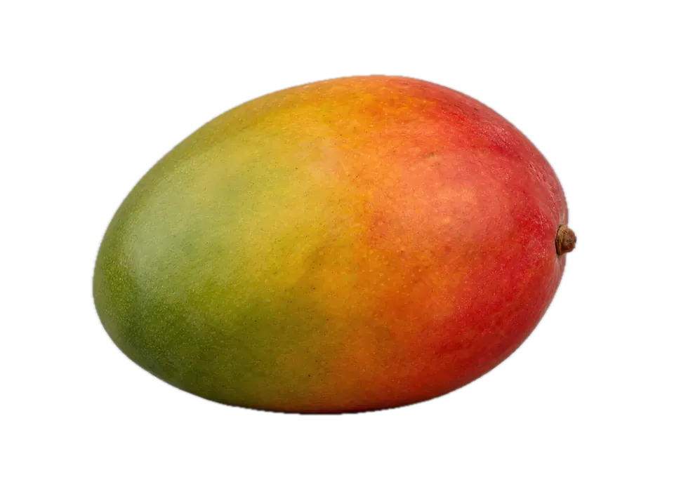 Mango Owes